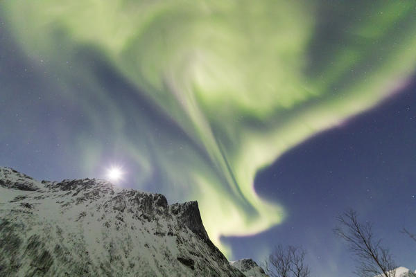 Northern lights and stars on the snowy peaks in the polar arctic night Bergsbotn Senja Tromsø Norway Europe