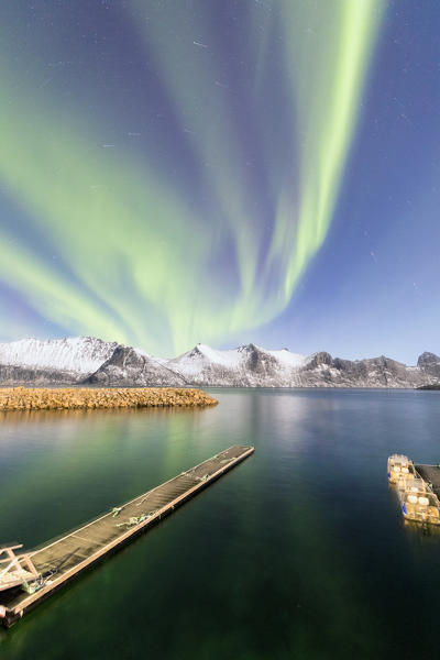 Northern lights on snowy peaks and icy sea along Mefjorden seen from the village of Mefjordvaer Senja Tromsø Norway Europe