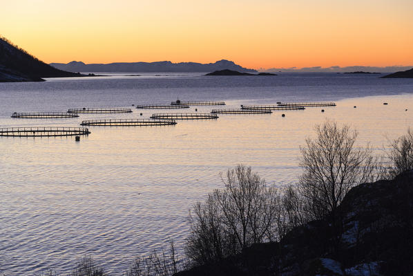 Sunset lights up the fish tanks of codfish and salmon in the cold sea of Torsken Senja Tromsø Norway Europe