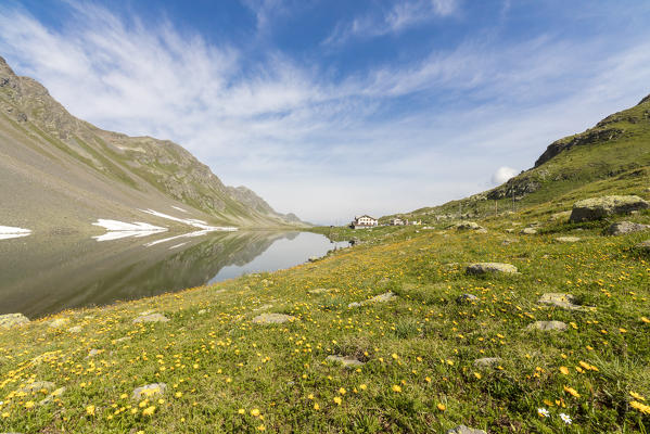 Yellow flowers frame the rocky peaks reflected in Lake Schottensee Flüela Pass canton of Graubünden Engadine Switzerland Europe