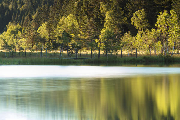 Trees are reflected in the swamp of the Natural Reserve of Pian di Gembro Aprica Sondrio Valtellina Lombardy Italy Europe