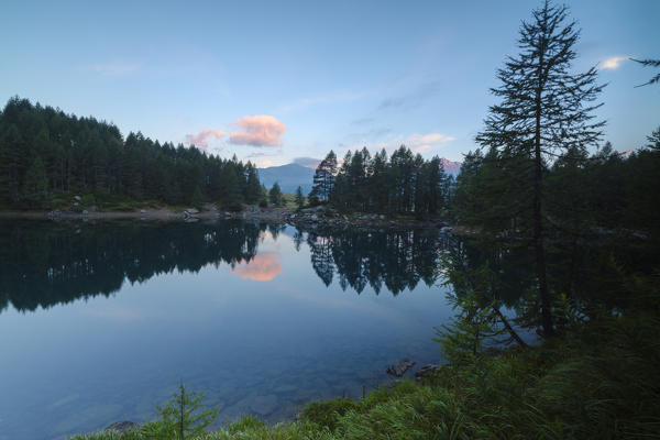 Trees are reflected in Lago Azzurro under pink sky at dawn Motta Madesimo Spluga Valley Sondrio Valtellina Lombardy Italy Europe