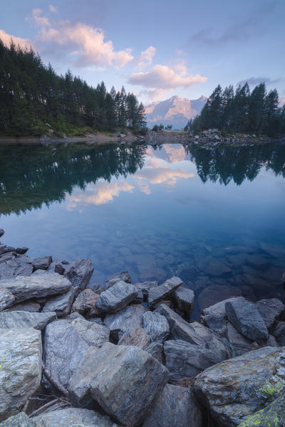 Trees are reflected in Lago Azzurro under pink sky at dawn Motta Madesimo Spluga Valley Sondrio Valtellina Lombardy Italy Europe