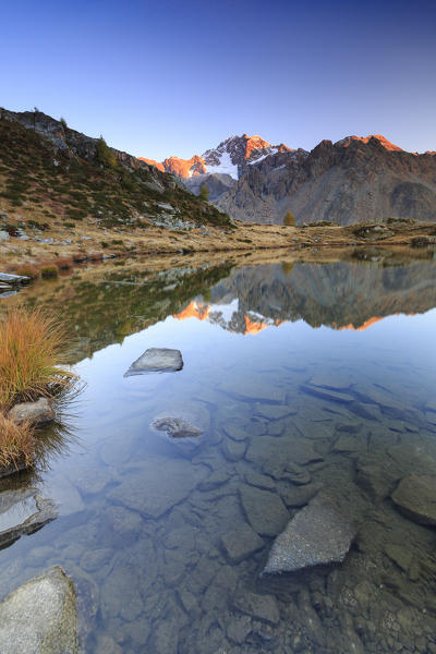 Rocky peaks of Mount Disgrazia reflected in Lake Zana at sunrise Malenco Valley Valtellina Lombardy Italy Europe