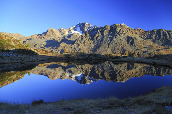 Rocky peaks of Mount Disgrazia reflected in the clear water of Lake Zana at dawn Malenco Valley Valtellina Lombardy Italy Europe