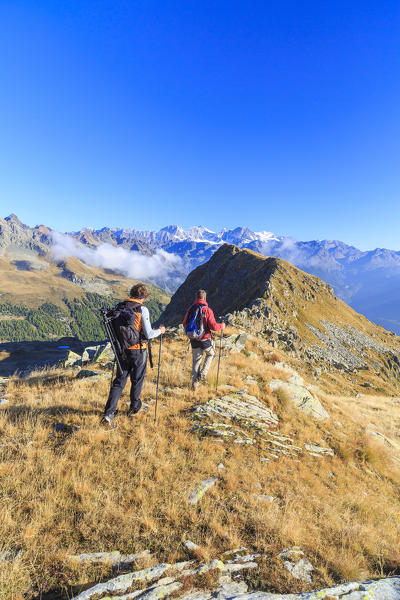 Hikers on pastures framed by the high peaks of Bernina Group   Val Torreggio Malenco Valley Valtellina Lombardy Italy Europe