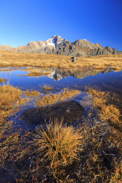 Rocky peaks of Mount Disgrazia are reflected in the alpine lake Val Torreggio Malenco Valley Valtellina Lombardy Italy Europe