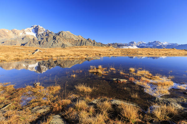 Peaks of Mount Disgrazia and Bernina Group reflected in the lake Val Torreggio Malenco Valley Valtellina Lombardy Italy Europe