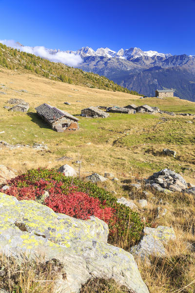 Alpine huts framed by snowy peaks of Bernina Group Arcoglio Alp Val Torreggio Malenco Valley Valtellina Lombardy Italy Europe