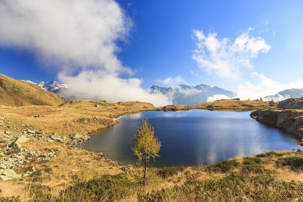 Bernina Group and peak Scalino framed by the blue Lake Arcoglio Val Torreggio Malenco Valley Valtellina Lombardy Italy Europe