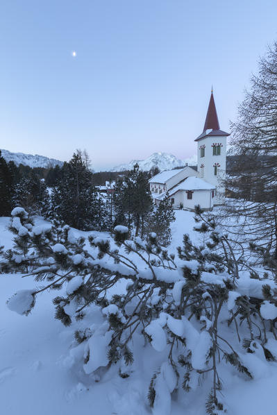 Blue lights of dusk on Chiesa Bianca framed by snowy trees Maloja Pass Canton of Graubunden Engadin Switzerland Europe