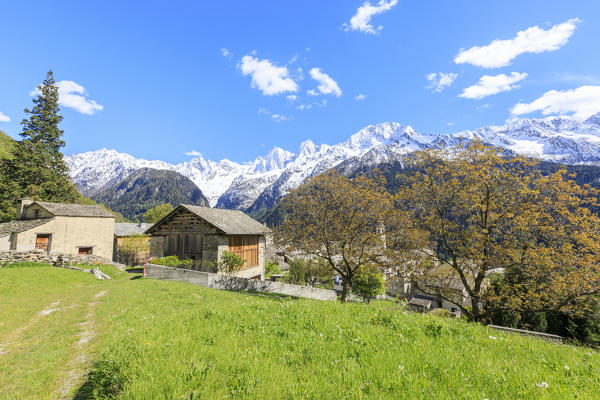 View of Soglio between meadows and snowy peaks in spring Maloja canton of Graubunden Engadin Bregaglia Valley Switzerland Europe