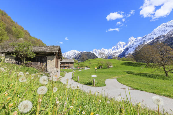 Huts in the green valley framed by snowy peaks Soglio Maloja canton of Graubunden Engadin Bregaglia Valley Switzerland Europe