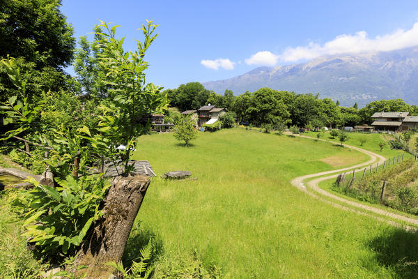 Path among green meadows on the way to the village of Dosso Gerola Valley Sondrio province Valtellina Lombardy Italy Europe