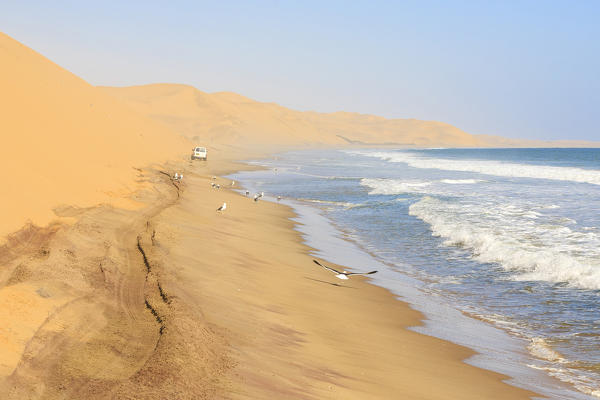 Jeep between sand dunes and ocean framed by seagulls in flight Walvis Bay Namib Desert Erongo Region Namibia Southern Africa