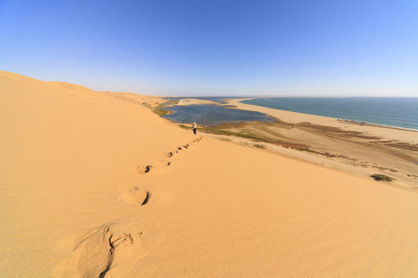 Man walks on sand dunes with the Atlantic Ocean in the background Walvis Bay Namib Desert Erongo Region Namibia Southern Africa