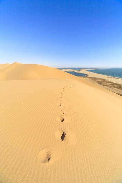 Footprints on sand dunes with the Atlantic Ocean in the background Walvis Bay Namib Desert Erongo Region Namibia Southern Africa