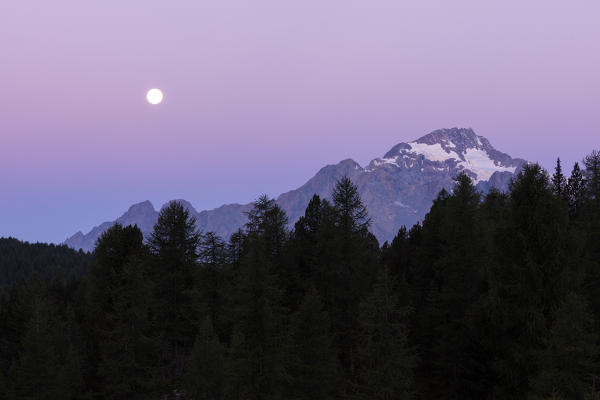 Pink sky at dawn on Monte Disgrazia seen from Lake Mufulè Malenco Valley Lombardy province of Sondrio Valtellina Italy Europe