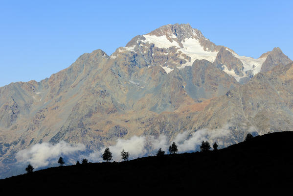 The rocky peak of Monte Disgrazia seen from Campagneda Malenco Valley Lombardy province of Sondrio Valtellina Italy Europe