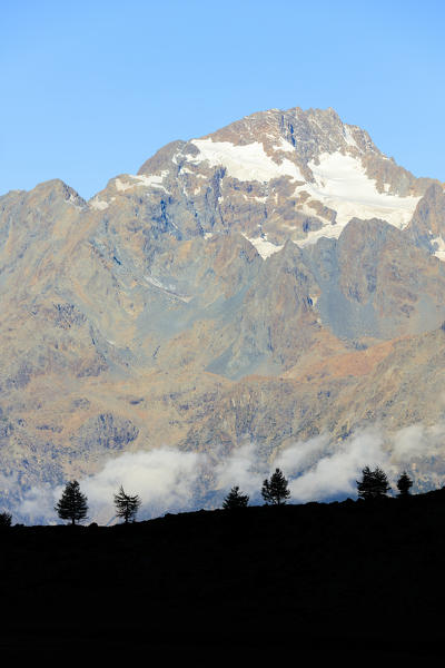 The rocky peak of Monte Disgrazia seen from Campagneda Malenco Valley Lombardy province of Sondrio Valtellina Italy Europe