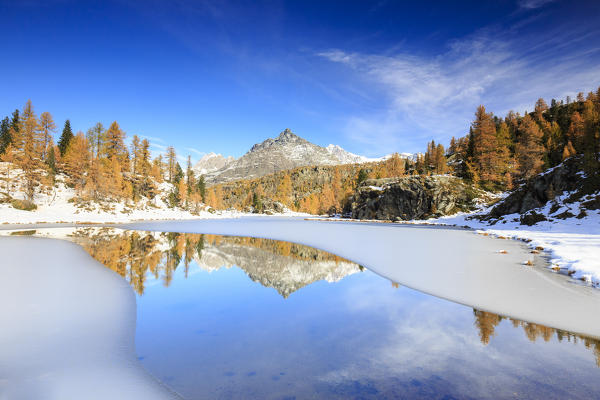 Rocky peaks and larches reflected in the frozen Lake Mufulè Malenco Valley Lombardy province of Sondrio Valtellina Italy Europe