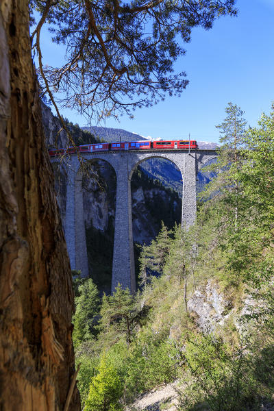 Bernina Express train on Landwasser Viadukt, Filisur, Albula Region, canton of Graubünden, Switzerland, Europe