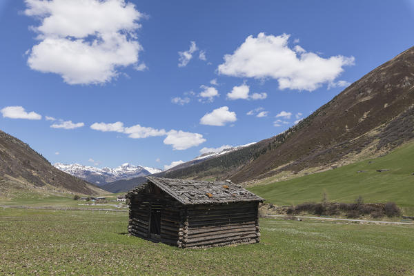 Wooden hut in the green meadows during spring, Davos, Sertig Valley, canton of Graubünden, Switzerland