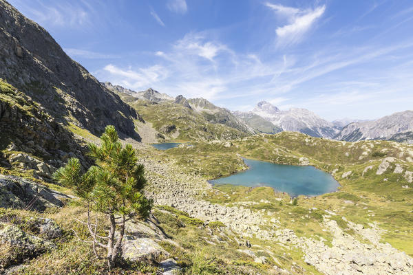 Turquoise lake between rocky peaks and meadows, Crap Alv Lejets, Albula Pass, canton of Graubünden, Switzerland