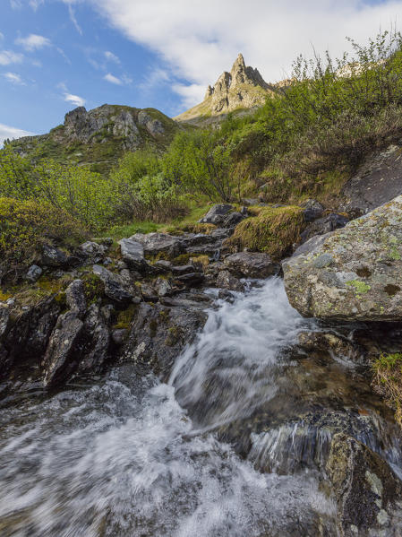 Flowing water of a creek, Alp Da Cavloc, Maloja Pass, Bregaglia Valley, canton of Graubünden, Engadine,Switzerland