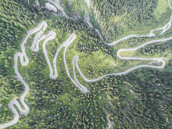 Aerial view of curves of the road between woods, Maloja Pass, Bregaglia Valley, canton of Graubünden, Engadine, Switzerland