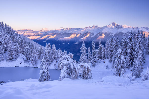 The magic of the first lights on the snowy peaks of the Reathian alps and Mount Disgrazia make a perfect frame to Lake Casera in the Livrio Valley in the Orobian Alps after a heavy snowfall. Sondrio. Valtellina. Lombardy. Italy. Europe