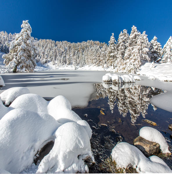 A snow-capped wood reflecting in the half-frozen Lake Casera Orobie alps, Valtellina, Sondrio, Lombardy, Italy Europe