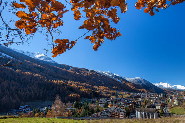 The bright colors of the autumn painting the popular ski resort of Aprica in Valtellina Orobie Alps, Sondrio, Lombardy, Italy Europe
