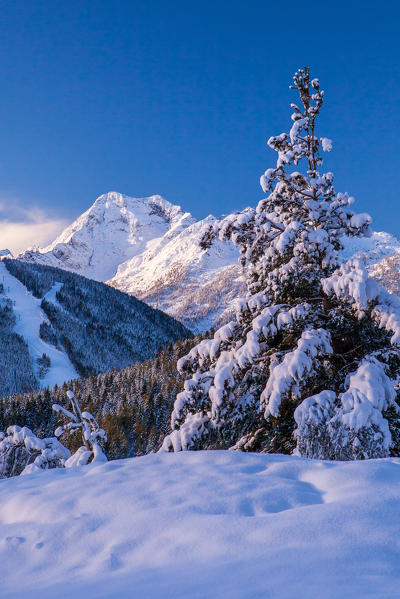 Looking towards Mount Torena and the ski slopes in Aprica from Mount Padrio. Sondrio. Orobie Alps. Valtellina. Lombardy. Italy. Europe