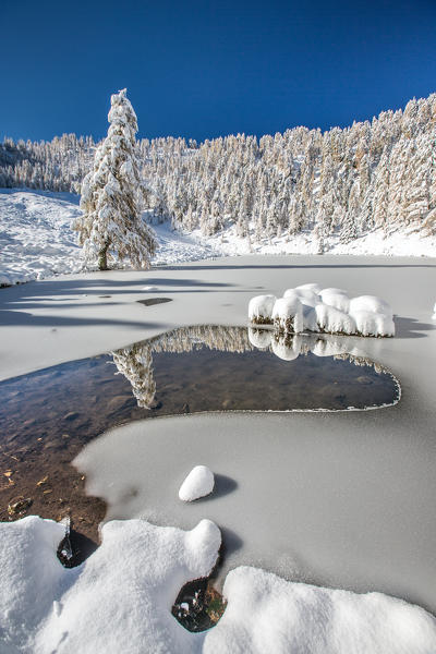 Autumnal snowfall at Lake Casera in the Livrio valley Orobian natural park, Alps, Valtellina, Sondrio, Lombardy, Italy Europe