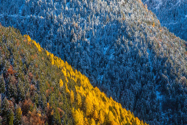 An early snowfall painting the landscape in the Albaredo Valley of Bitto in the Orobie alps Valtellina, Sondrio, Lombardy, Italy Europe