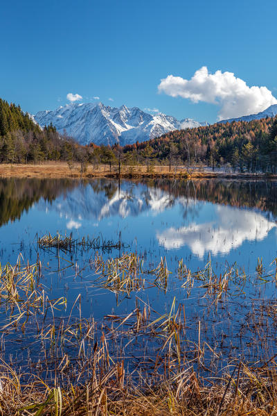 The Corno Baitone, the southernmost peak of the Adamello range,  reflecting in the water of a lake close to the Pian di Gembro natural reserve - Aprica, Valtellina, Sondrio, Lombardy, Italy. Europe