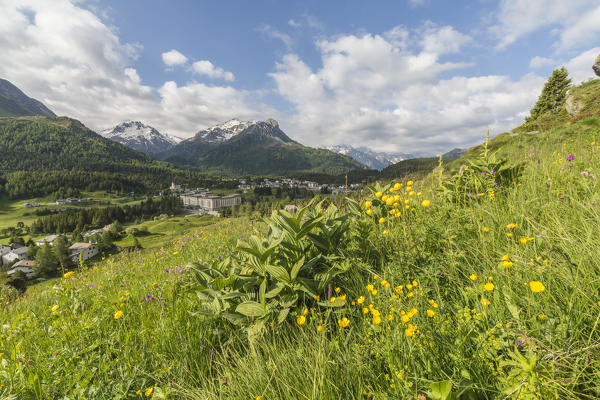 The alpine village of Maloja during summer, Bregaglia Valley, Canton of Graubunden, Engadin, Switzerland