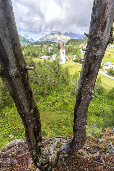 Tree trunks frame the Chiesa Bianca, Maloja, Bregaglia Valley, Canton of Graubunden, Engadin, Switzerland