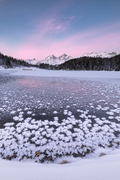 Ice crystals, Lej da Staz, St Moritz, canton of Graubünden, Engadine, Switzerland