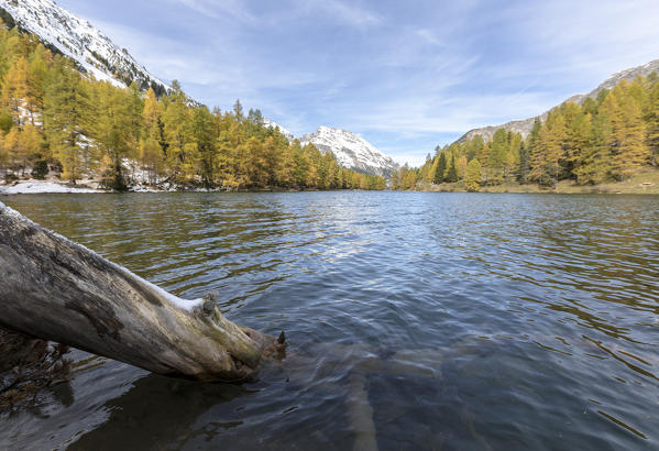Lai da Palpuogna (Palpuognasee) during autumn, Bergün, Albula Pass, canton of Grisons, Switzerland