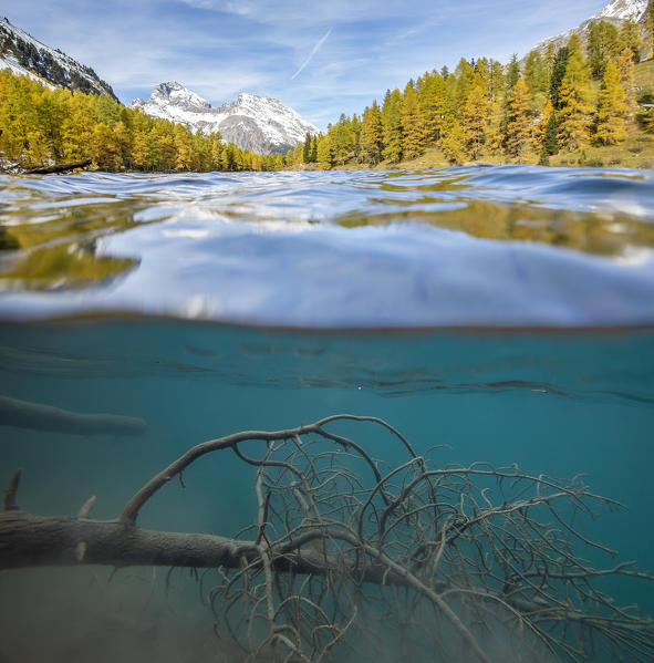 Lai da Palpuogna in autunno, Svizzera