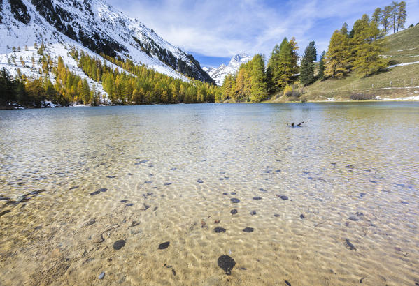 Transparent water of Lai da Palpuogna (Palpuognasee), Bergün, Albula Pass, canton of Grisons, Switzerland