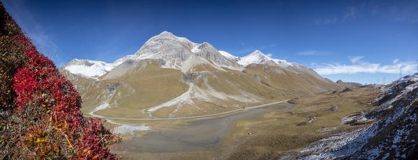 Panoramic of rocky peaks and blueberries, Albula Pass, Bergün, Canton of Graubünden, Engadine, Switzerland