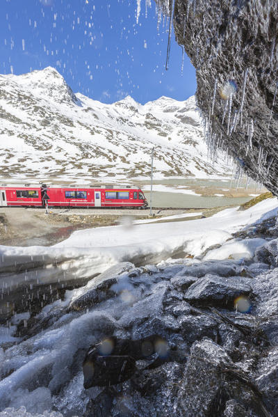 Bernina Express train at Lago Bianco, Bernina Pass, canton of Graubunden, Engadine, Switzerland