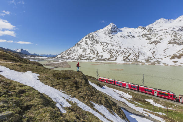Hiker looks the Bernina Express train at Lago Bianco, Bernina Pass, canton of Graubunden, Engadine, Switzerland