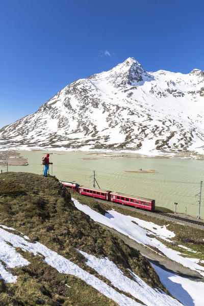 Hiker looks the Bernina Express train at Lago Bianco, Bernina Pass, canton of Graubunden, Engadine, Switzerland