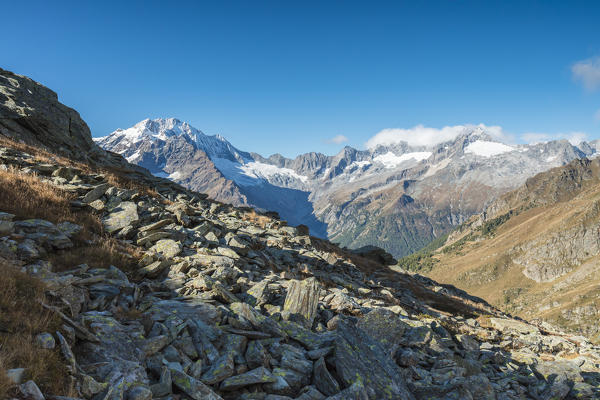 Monte Disgrazia seen from Valle di Chiareggio, Malenco Valley, province of Sondrio, Valtellina, Lombardy, Italy