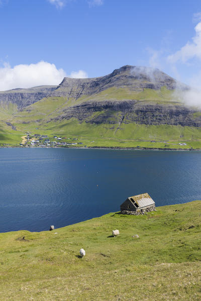 Wood hut and sheep around cliffs of Drangarnir, Vagar Island, Faroe Island