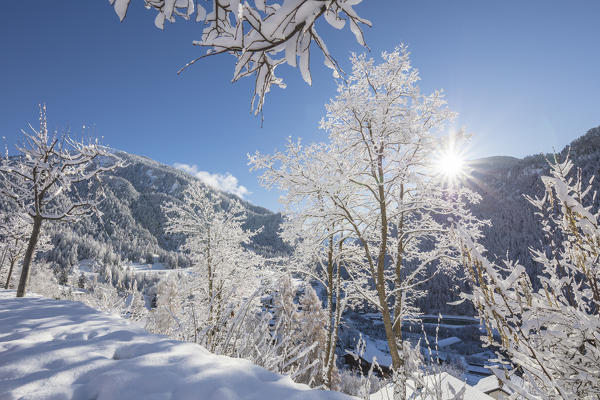 Sunbeam on snowy woods, Filisur, Albula Valley, Canton of Graubünden, Switzerland